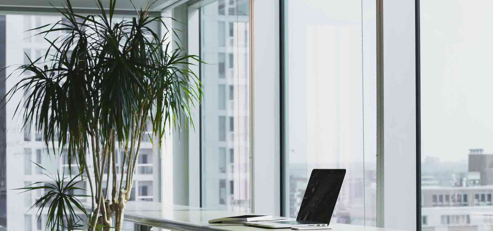 【微软商店】正版的电话狂呼软件